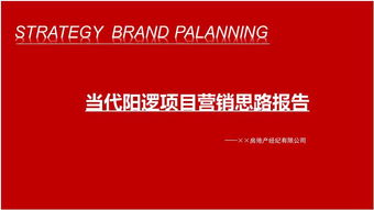 武漢當(dāng)代陽邏開發(fā)區(qū)住宅項(xiàng)目營(yíng)銷思路報(bào)告126頁